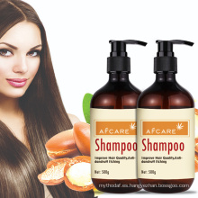Champú de marca privada al por mayor Champú y acondicionador para el cabello con aceite de argán orgánico natural Champú acondicionador para el cuidado del cabello de lujo